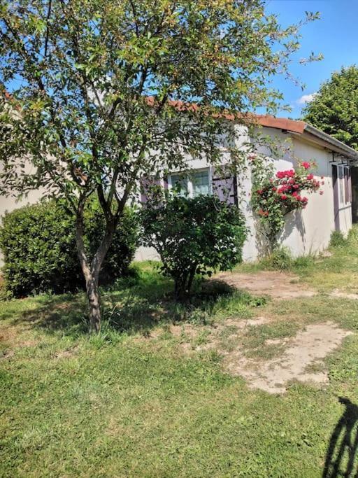 Maison Studio Individuelle Fraichement Renovee Paray-le-Frésil Εξωτερικό φωτογραφία